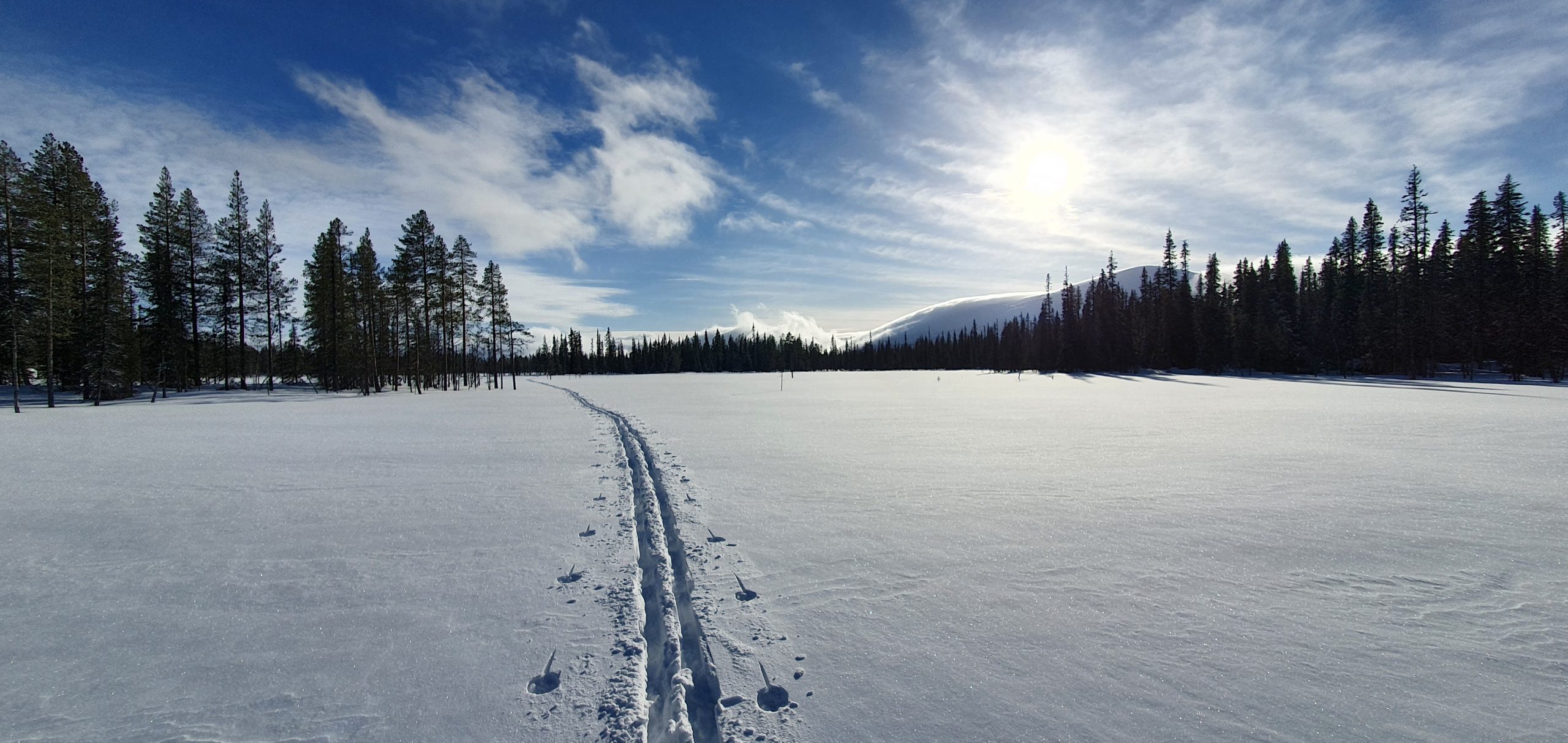 Lappi
