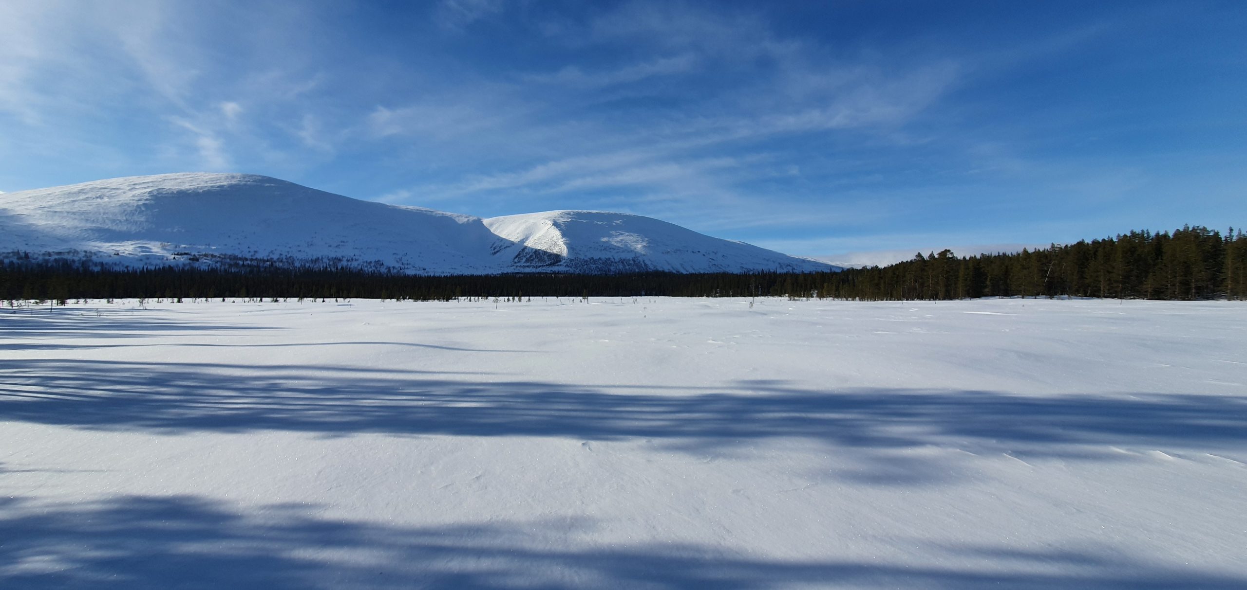 Lappi